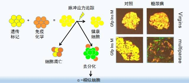 &#20048;&#40060;&#23448;&#26041;&#31471;&#32593;&#31449;&#30331;&#24405;&#20837;&#21475;&#45;&#20048;&#40060;&#108;&#101;&#121;&#117;&#40;&#20013;&#22269;&#41;